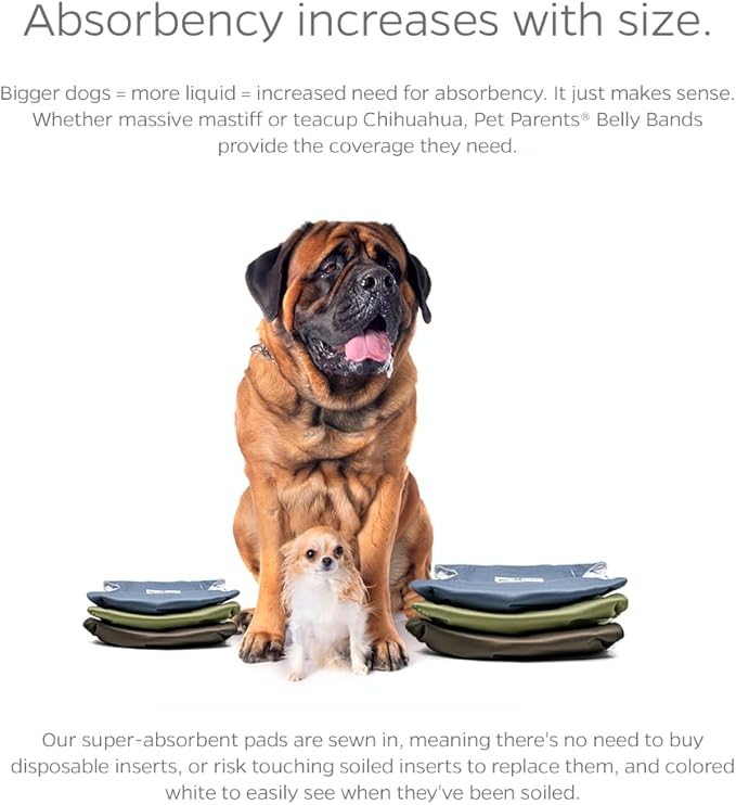 Pet Parents® Washable Belly Bands for Male Dogs (3pack) + Extendrs® of Durable Dog Diapers Male, Premium Male Dog Diapers & Dog Wraps (X-Large, Koda)