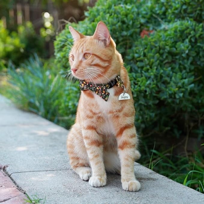 Ultra Joys Personalized Cat Collar Name Tag Small Pet ID Tags for Cats - Customized Mini Cute Dog Cat ID Tag - Bothside Engravable Lightweight Durable Stainless Steel - Semi Circle Tag in Silver