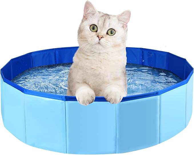 Enenes Foldable Dog Pool 24x8 Inch Portable PVC Pet Swimming Pool & Bath Tub, Collapsible Ball Pit for Indoor/Outdoor Use, Puppy Bath Tub for Dogs, Cats, Puppies