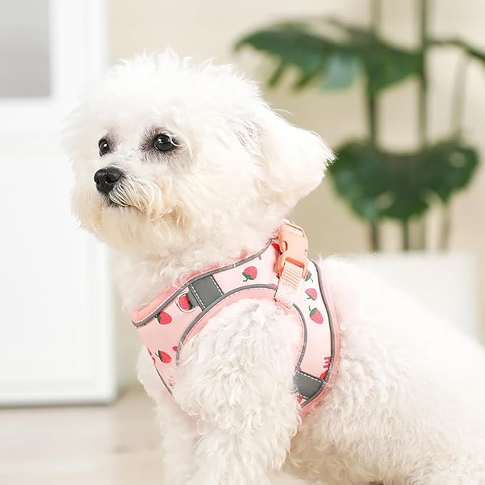 Step in Dog Harness and Leash Set, Flower Adjustable Easy Walk Puppy Harnesses, Soft Mesh No Pull Pet Vest Harness for Small Medium Dogs(Strawberry, M)