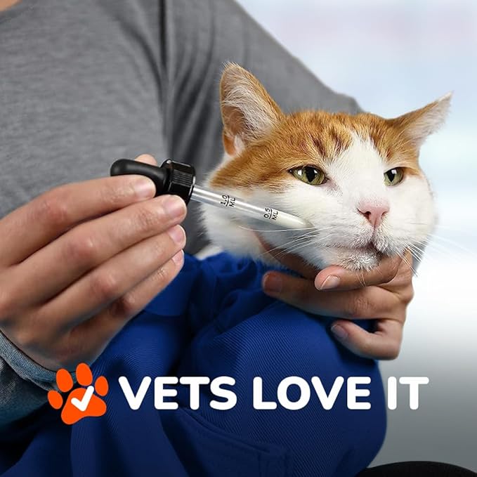 Cat-in-the-Bag Cozy Comfort Carrier - Small Cobalt Blue Cat Carrier Soft for Grooming, Vet Visits, Medication Administration, Dental Care, Nail Trimming, and Car Travel