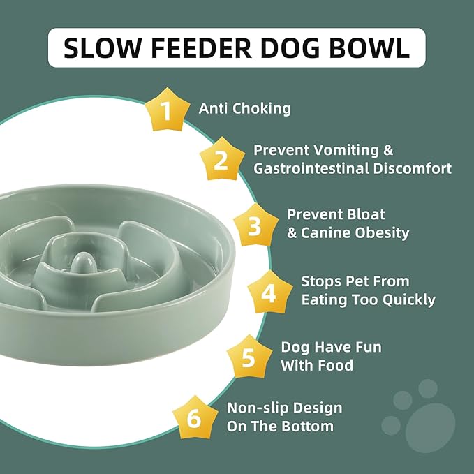 Ceramic 1.2 Cup Slow Feeder Dog Bowl for Medium and Small Breed, 7.3inch Puzzle Dog Food Dish, Anti-Gulping, Stop Bloat, Preventing Choking (Single Bowl-Light Green)