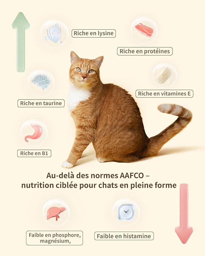 Freeze-Dried Cat Food, 97% Animal Origin Soft Dry Food for Cats Kitten, High Protein Healthy Freeze Dried Cats Raw Treat & Topper (Beef Recipe - 14 Ounce)