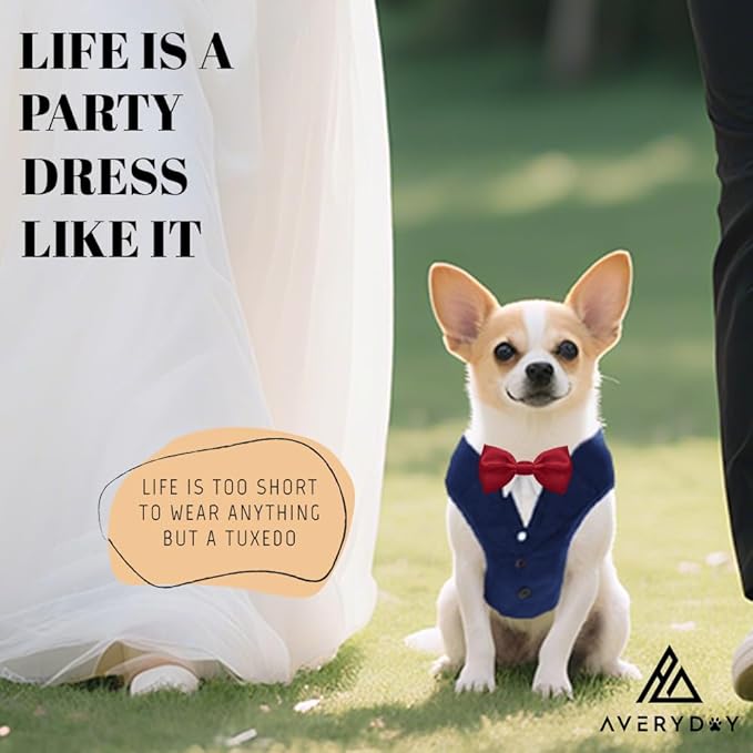 AVERYDAY XS Pet Tuxedo Harness, Wedding Costume Outfit for Small Dogs, Slim Cats and Tiny Pets with 8.3" Neck, 13-14.6" Chest, 8.5" Max Head Girth, Formal Suit Costume for Mini Breeds