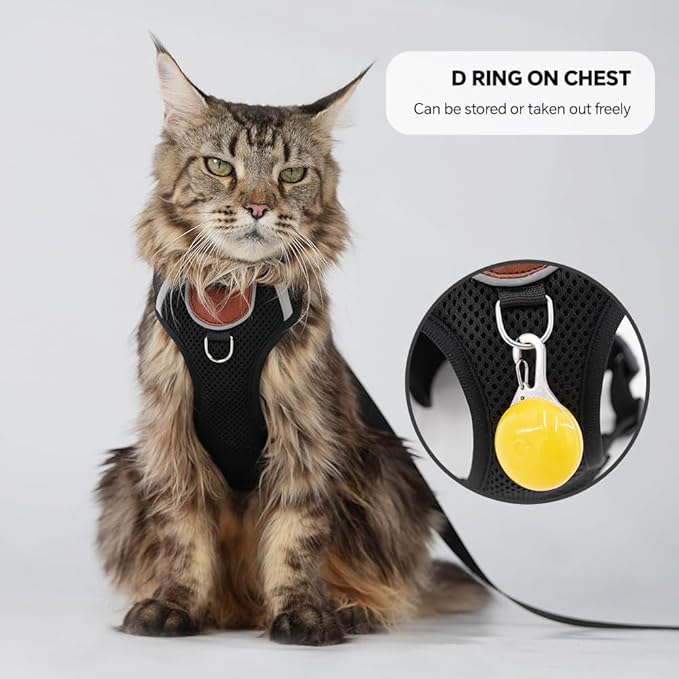 Cat Harness Leash Set with AirTag Holder, Upgraded Escape Proof Vest with Lead for Cat Kitten Small Dog Puppy Outdoor Walking, Soft Breathable Mesh Jacket with Reflective Strip (Black, M)