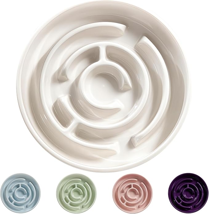 Ceramic Slow Feeder Dog Bowl,1.5 Cups Pet Slow Feeder for Small and Medium Breed,Puzzle Dog Food Dish,Anti-Gulping,Stop Bloat,Preventing Choking(White)