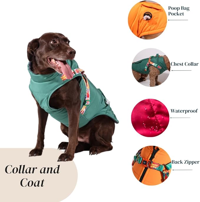 Generic Pawlook Dog Raincoat with Chest Leash and Collar, Reusable Waterproof Pet Coat for Small Dogs, Medium Dogs, Large Dogs (Green, Large)