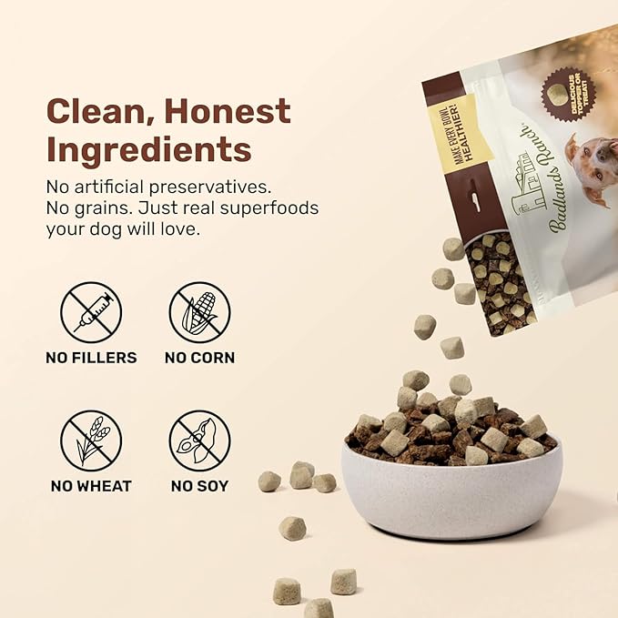 BADLANDS RANCH Superfood Nuggets – Freeze-Dried Raw Dog Treat & Food Topper, Nutrient-Dense Duck & Kale Formula, High Protein, No Artificial Additives, 8oz Bag