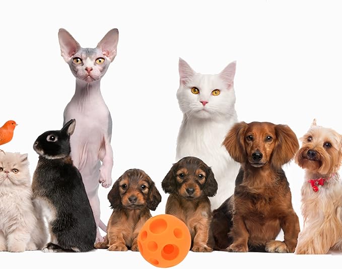 Evan Dog Toy Balls, 5 Inch Treat Tricky Ball Food Dispensing Toys Tricky Fun Interactive Dog Toy Food Dispenser Toy Puzzle Toy Ball Dog Chew Toys Ball for Large Medium Slow Feeder Dog Bowls（Orange）