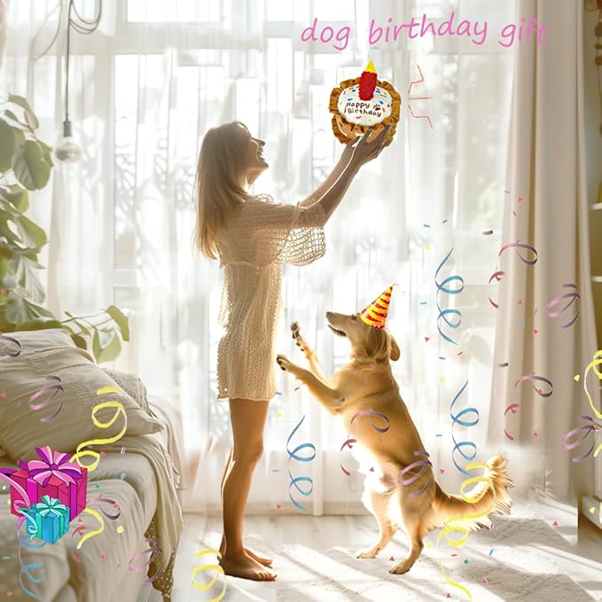 Birthday Squeaky crinkly Cake Aggressive chew for pups Sandwiches Pizza Party Dog Toy Colorful Playset to Keep Your Furry Friend Busy with 3 Pack Dog Toys for Birthday Gift Toys