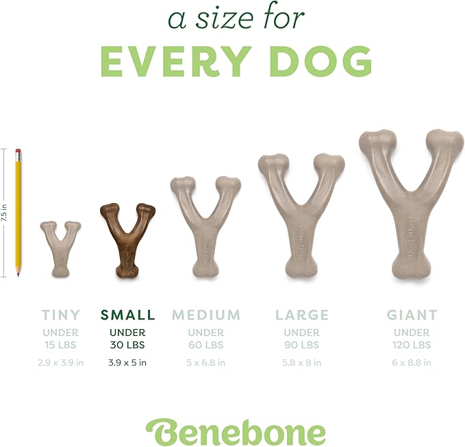Benebone Wishbone Durable Dog Chew Toy for Aggressive Chewers, Real Chicken, Made in USA, Small, for Any breed