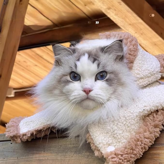 Pet Cape Blanket, Cape Blanket for Dogs, Cat Cape Blanket, 6 Styles Cute Soft Comfortable Flannel Dog Warm Cape (Letter Brown, Small)