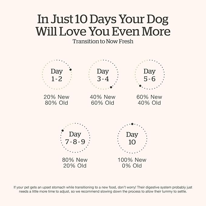 Now Fresh Grain-Free Senior Dry Dog Food with Turkey, Salmon & Duck, Premium Kibble Made with Real Meat & Fish, Chicken-Free Recipe, Glucosamine & Chondroitin for Healthy Joints, 22 lb Bag