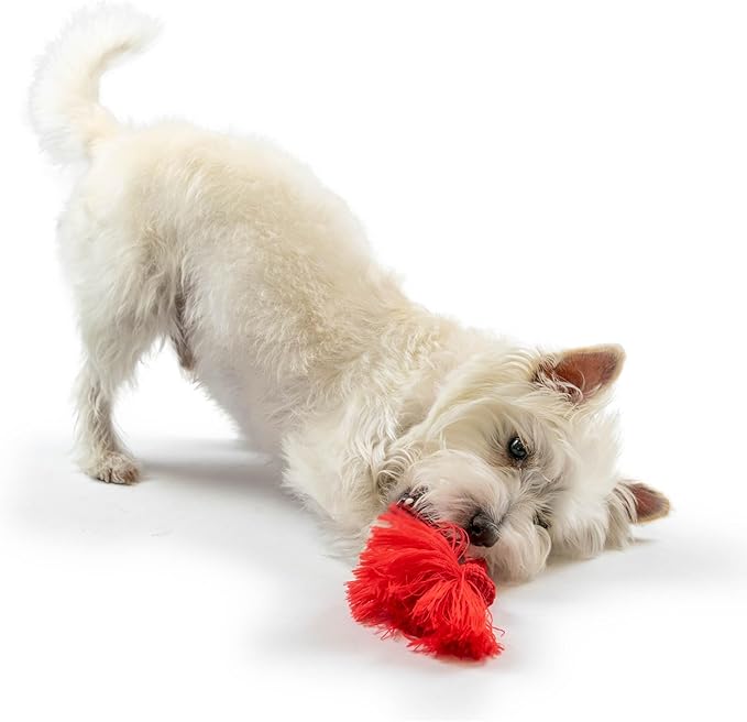 Playology Dog Toys | Dri-Tech Rope Toy Tug of War Rope for Aggressive Chewers | Medium Beef Scented Toy - Easy to Clean and Made from Non Toxic Materials