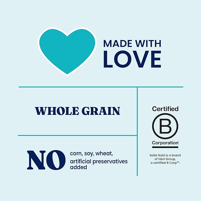 Solid Gold Canned Dog Food for Adult & Senior Dogs - High Protein Wet Dog Food w/Real Lamb, Whole Grains & Probiotics for Gut Health & Immunity - Small, Medium & Large Breed Dogs - 6ct 12.5oz Cans