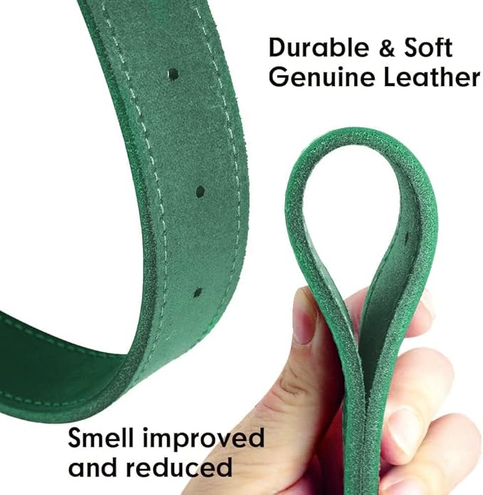 Didog Genuine Leather Dog Collars with Engraved Nameplate, Personalized Soft Leather Dog Collar with Custom ID Tag, Brown/Green/Red for Small Dogs (S,Green)