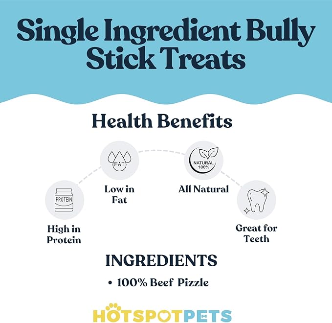 hotspot pets Spring Bully Sticks for Dogs -(6 Pack) Premium All Natural Long Twisted Beef Pizzle Dog Chew Treats - Grain Free Fully Digestible Rawhide Alternative - 6 Inch Sticks
