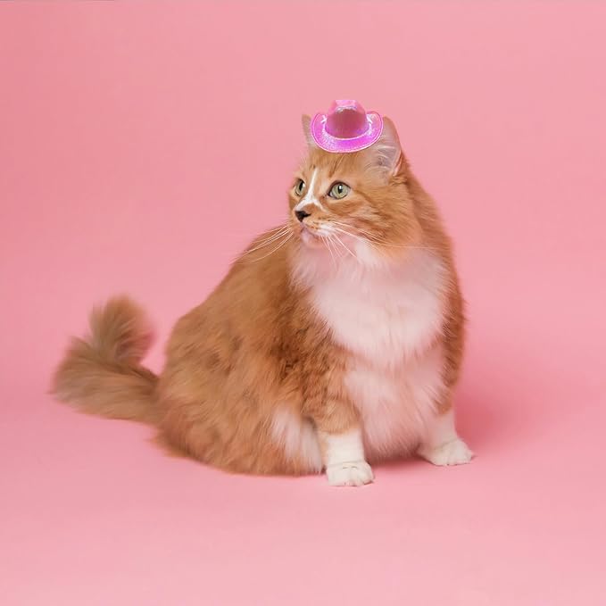 Dog Cowboy Hat Cat Cowboy Hat Pet Cowboy Costume Mini Cowboy Hat for Dogs Cat Holiday Halloween Pet Party Decoration (Pink-style2, Small)