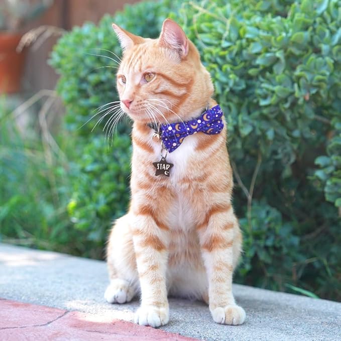 Ultra Joys Cat ID Tag Personalized Pet Tags, Durable Stainless Steel Small Pet Mini Dog Cat Tag Lightweight - Star Tag in Black