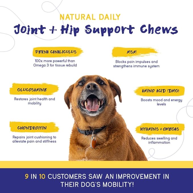 PupGrade Joint Support Supplement for Dogs - Natural Glucosamine Chondroitin with MSM - Hip & Joint Pain Relief - Recommended for Hip Dysplasia, Arthritis & Joint Disease - USA Tested - 60 Chews