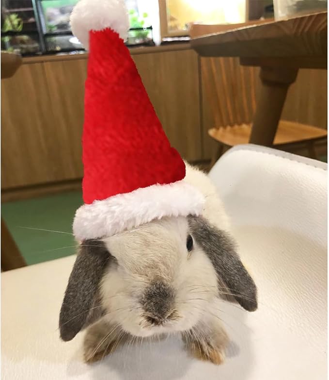 ANIAC Christmas Hamster Hats Guinea Pig Costume Mini Santa Hat for Kitten Chinchilla Rabbit Bunny Hedgehog Ferret Squirrel Rats Duck Newborn Puppy…