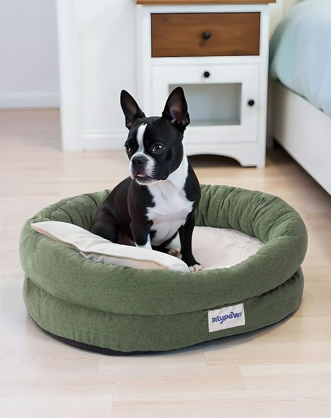 Orthopedic Dog Bed for Small Dogs, Pet Sofa Bed with Egg Crate Foam, 4-Sided Bolster, Removable Washable Cover & Anti-Slip Bottom, Small Calliste Green