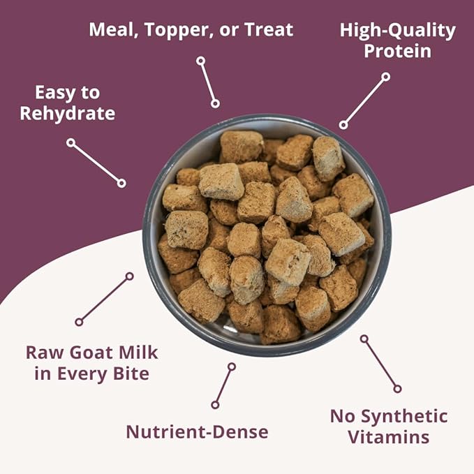 Steve's Real Food Freeze-Dried Raw Nuggets - Chicken Recipe - Raw Pet Food for Dogs and Cats - 20 oz