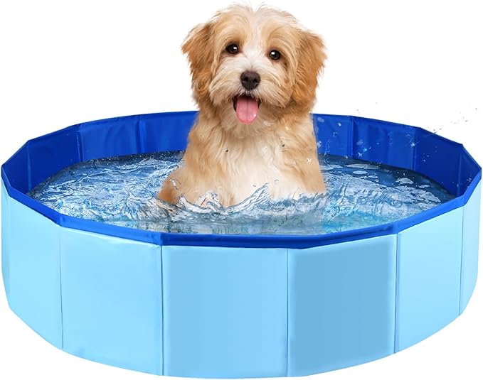 Enenes 24'' x 8'' Dog Pool, Folding Dog Swimming Pool, Portable Dog Bathtub, Dogs Cats PVC Non-Slip Bath Tub Puppy Shower Bathing Tub and Collapsible Pool for Dogs Cats (Blue)