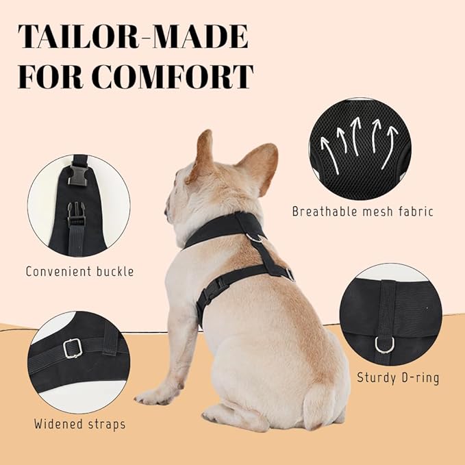 AVERYDAY XS Pet Tuxedo Harness, Wedding Costume Outfit for Small Dogs, Slim Cats and Tiny Pets with 8.3" Neck, 13-14.6" Chest, 8.5" Max Head Girth, Formal Suit Costume for Mini Breeds
