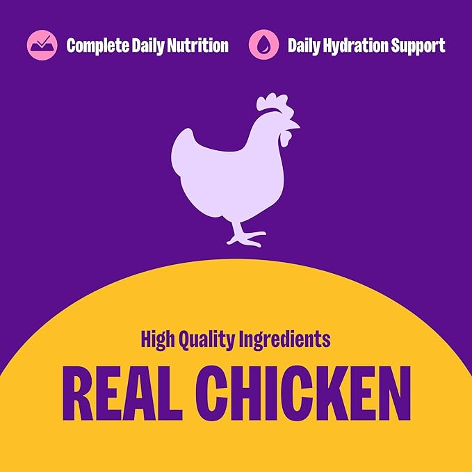 Wellness Complete Health Pate Adult Wet Cat Food, Natural, Protein-Rich, Grain Free, 12.5 Ounce, 12 Pack, (Chicken)