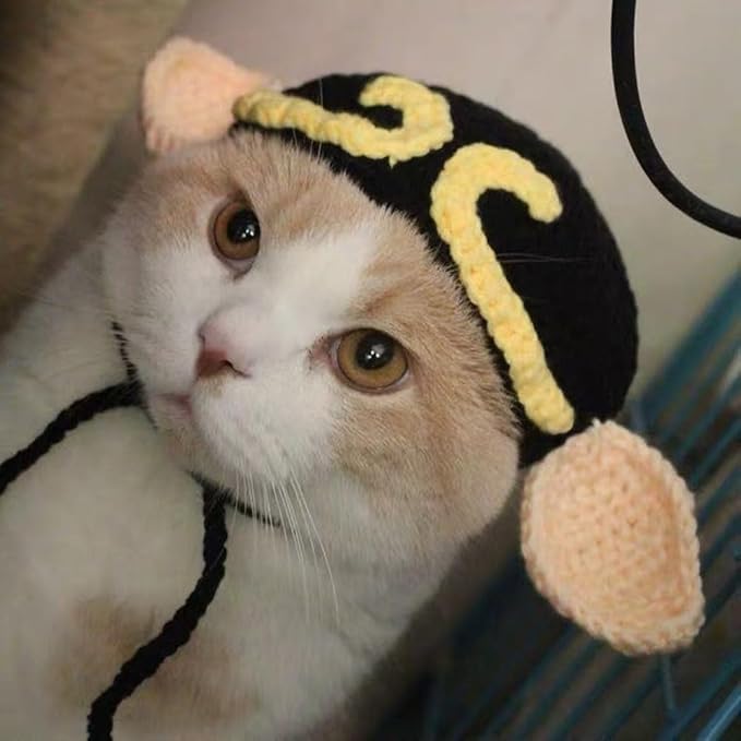 2Pcs 0-2.5kg 2.5kg-5kg Pet Cat Costume Hat with Ear Design, Black and Yellow Knitted Cap with Tassels