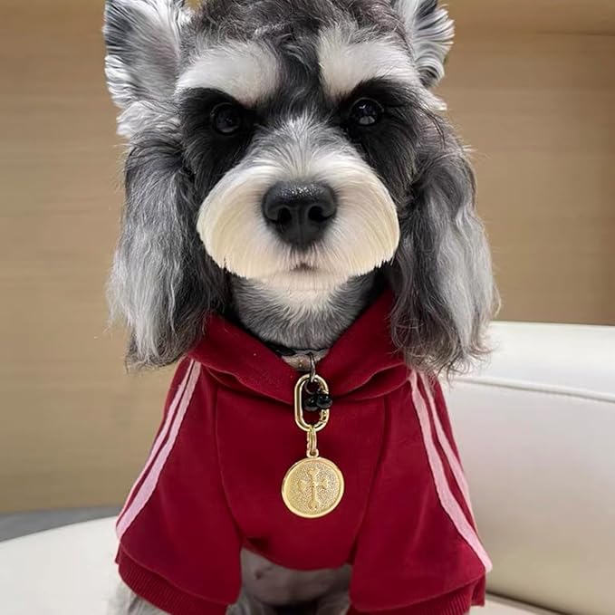 Dogs ID Tags Personalized Double Sided Deep Engraved Cat & Dog Collar Charm Round Shape Frosting Process Silver/Gold Plated