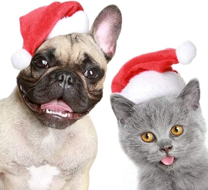 6 Pcs Dog Cat Pet Santa Hat Christmas Pet Costumes Santa Hat Pet Christmas Photo Props for Puppy Kitten Small Cats Dogs