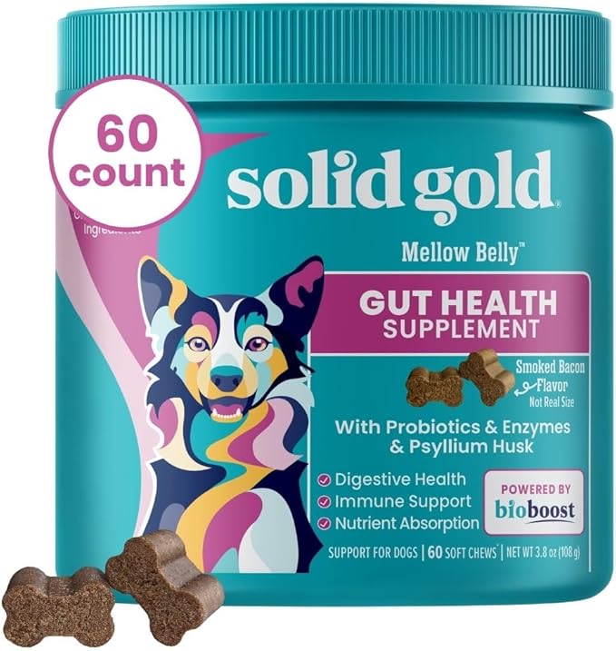 Solid Gold Dog Probiotics for Digestive Health - Probiotics for Dogs with Fiber & Digestive Enzymes for Bowel Support & Gut Health - Bacon Flavor Soft Chews to Support Digestion for All Ages - 60ct