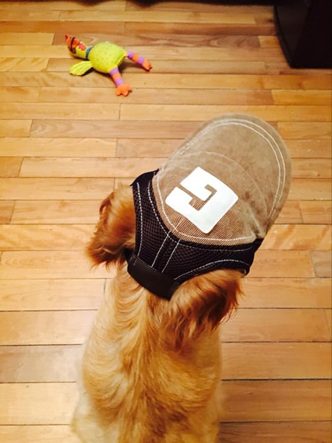 Pet Dog Baseball Cap Sport Cap Hat - Outdoor Hat Sun Protection Summer Cap for Small Medium Large Dog (Small Cap, Brown)