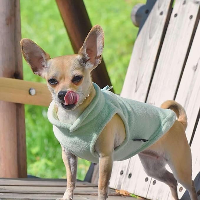 JACKO & CO - Fleece Vest Dog Sweater with Leash Ring - Soft, Warm & Lightweight Pullover Coat for Small & Medium Dogs, Puppies & Cats - Cozy Fall/Winter/Spring Pet Jacket (Mint Green, X-Small 3lbs)