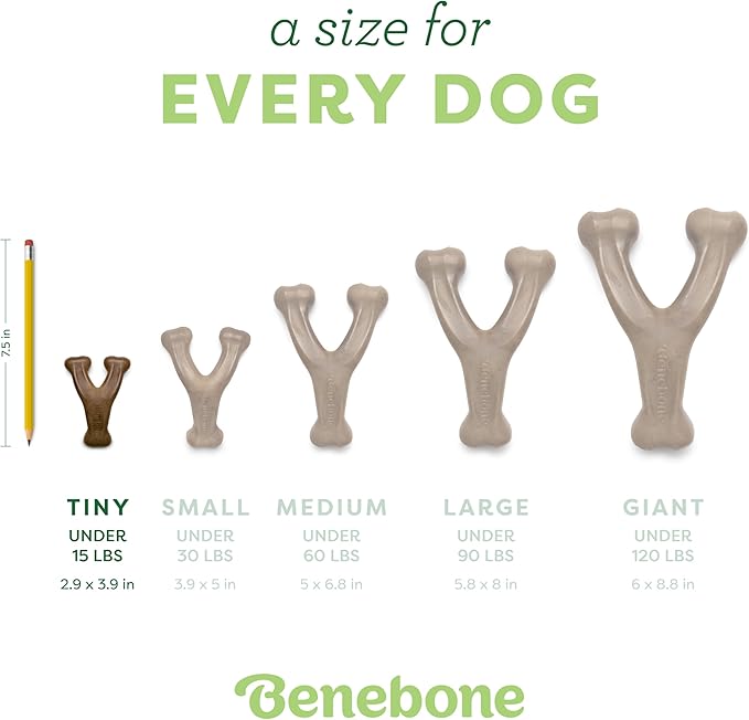 Benebone Wishbone Durable Dog Chew Toy for Aggressive Chewers, Real Bacon, Made in USA, Tiny