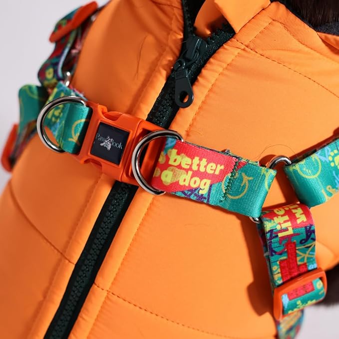 Generic Pawlook Dog Raincoat with Chest Leash and Collar, Reusable Waterproof Pet Coat for Small Dogs, Medium Dogs, Large Dogs (Orange, X-Small)