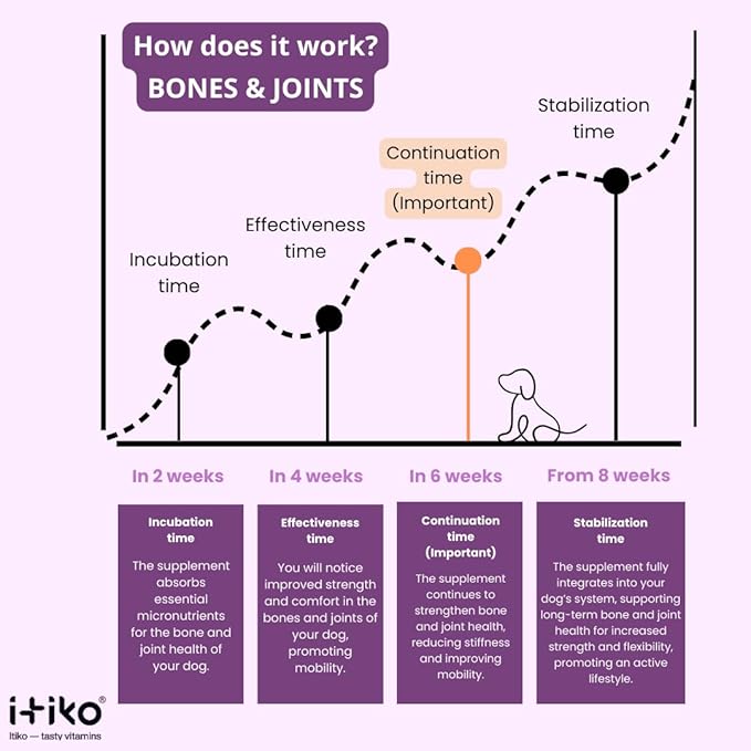Bone and Joint Supplement for Dogs with Green-Lipped Mussel, MSM, Glucosamine, Chondroitin & Omega-3 | 100-120 PCS of Chews for All Breeds Size