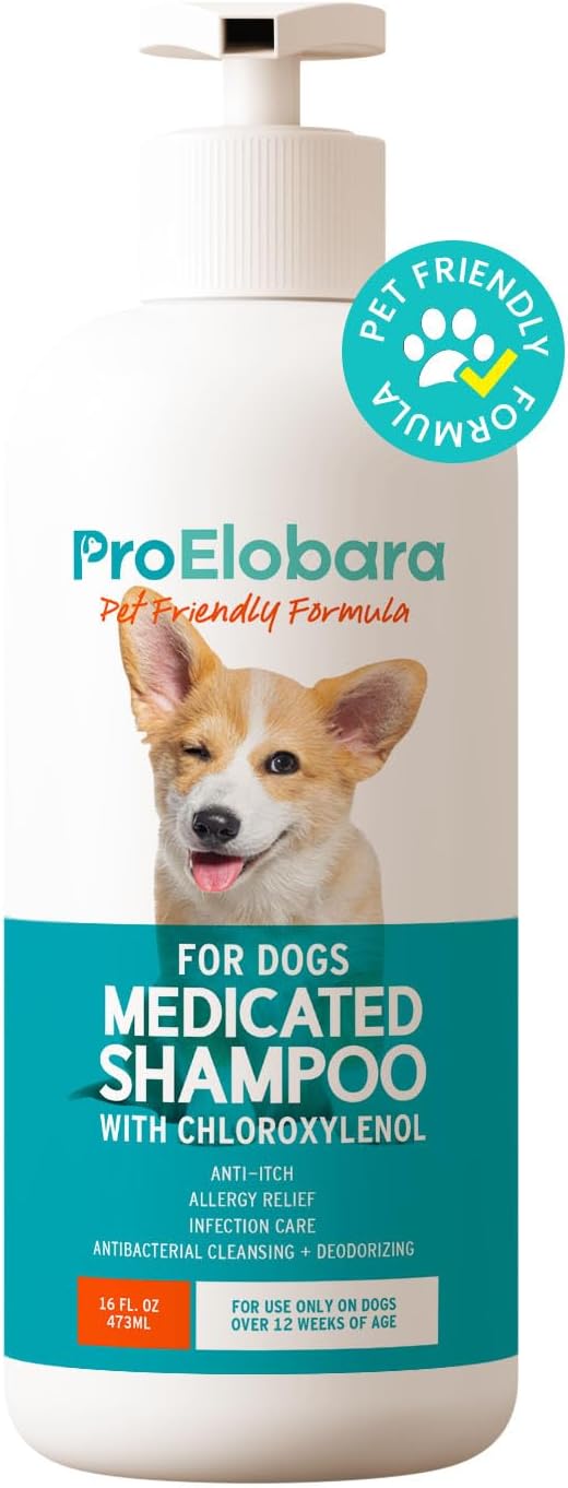 Medicated Dog Shampoo for Itchy Relief: Yeast Skin Infections and Bacterial Treatment for Dogs - Helps Hot Spots, Deodorizing, Allergy Relief - Healthy Skin & Coat - Antifungal Dog Shampoo 16 oz