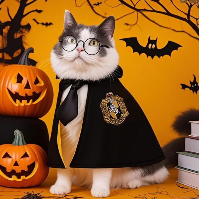 ANIAC 3PCS Halloween Dog Costume Cat Wizard Cape Glasses and Necktie Set Halloween Puppy Outfit Pet Academy Magician Cosplay Apparel for Kitten Cat Small Dogs (Black+Yellow, Small)