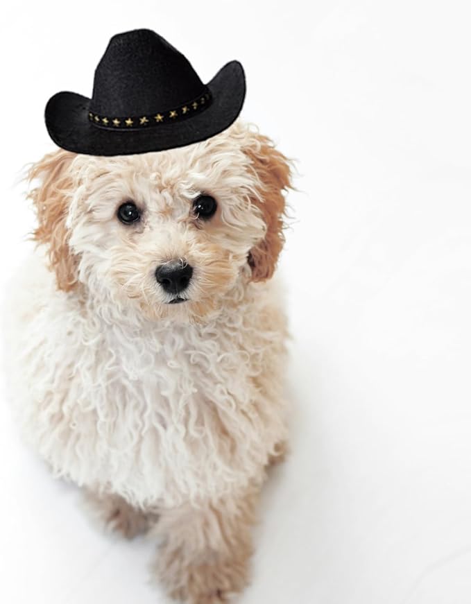 Dog Cowboy Hat Cat Cowboy Hat Pet Cowboy Costume Mini Cowboy Hat for Dogs Cat Holiday Halloween Pet Party Decoration (Black, Large)