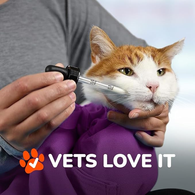 Cat-in-the-Bag Cozy Comfort Carrier - Large Lavender Pet Carrier and Cat Carrier Soft for Grooming, Vet Visits, Medication Administration, Dental Care, and Nail Trimming