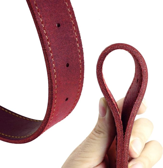 Didog Genuine Leather Dog Collars with Engraved Nameplate, Personalized Soft Leather Dog Collar with Custom ID Tag, Brown/Green/Red for Small Dogs (S,Red)