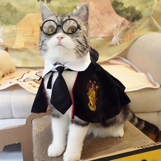 ANIAC 3PCS Halloween Dog Costume Cat Wizard Cape Glasses and Necktie Set Halloween Puppy Outfit Pet Academy Magician Cosplay Apparel for Kitten Cat Small Dogs (Black+Red, Small)
