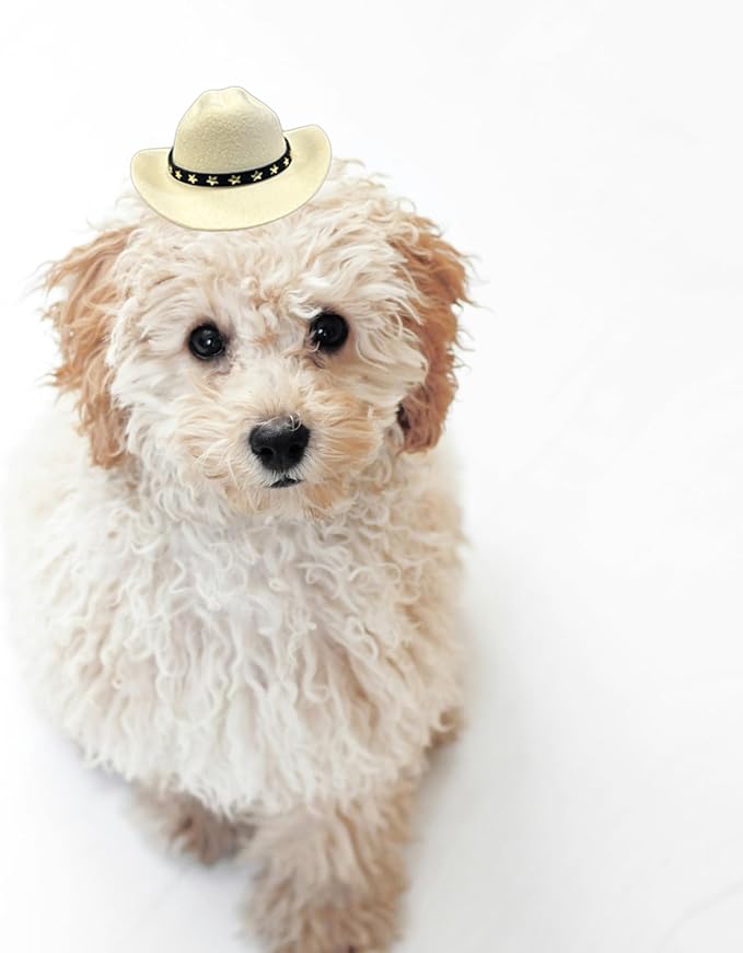 Dog Cowboy Hat Cat Cowboy Hat Pet Cowboy Costume Mini Cowboy Hat for Dogs Cat Holiday Halloween Pet Party Decoration (Beige, Small)