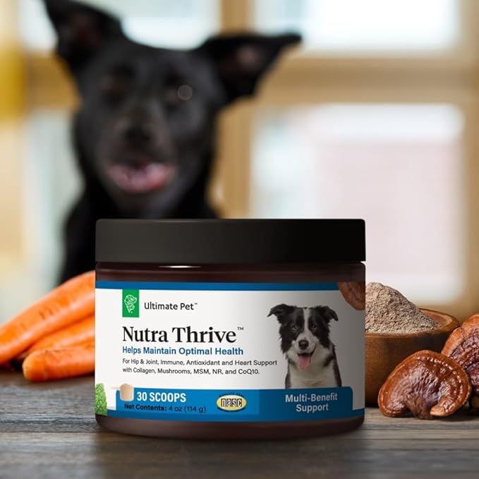 Ultimate Pet Nutrition Nutra Thrive Canine, 40-in-1 Nutritional Powder Supplement for Dogs with Digestion and Immune Support, Vitamins, Minerals, Probiotics, Enzymes, 30 Scoops