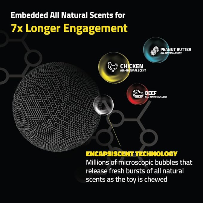 Playology Dog Toys | Squeaky Chew Ball - Bouncy Durable Floating Fetch Ball for Dogs | Medium Chicken Scented Toy - Easy to Clean and Made from Non Toxic Materials