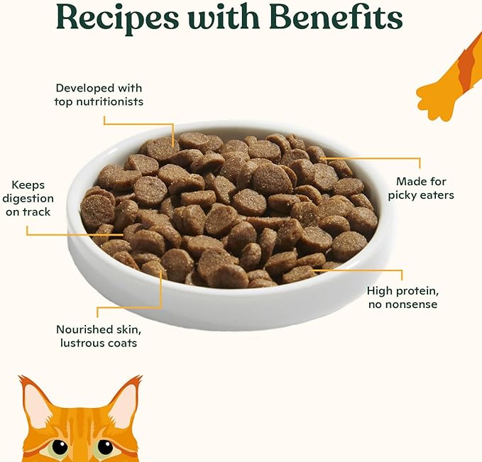 Made by Nacho Dry Cat Kibble 11lb Bag, High Protein and Grain-Friendly Premium Cat Food, Cage-Free Chicken & Pumpkin Recipe, Infused with Bone Broth for Hydration, Limited Ingredients, Single Bag