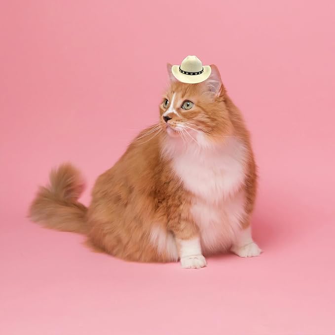 Dog Cowboy Hat Cat Cowboy Hat Pet Cowboy Costume Mini Cowboy Hat for Dogs Cat Holiday Halloween Pet Party Decoration (Beige, Small)